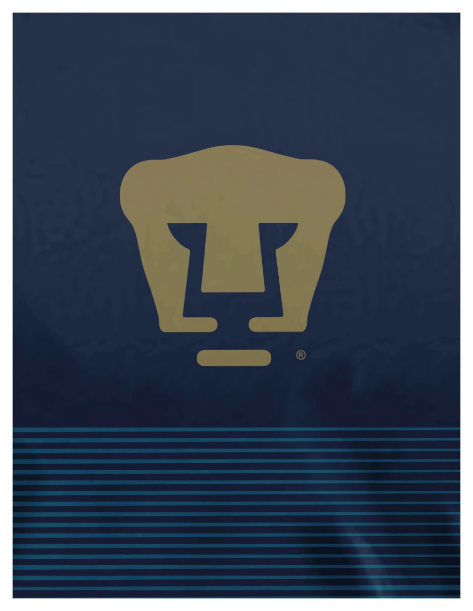 Playera deportiva para fútbol Pumas de la UNAM de niño 2
