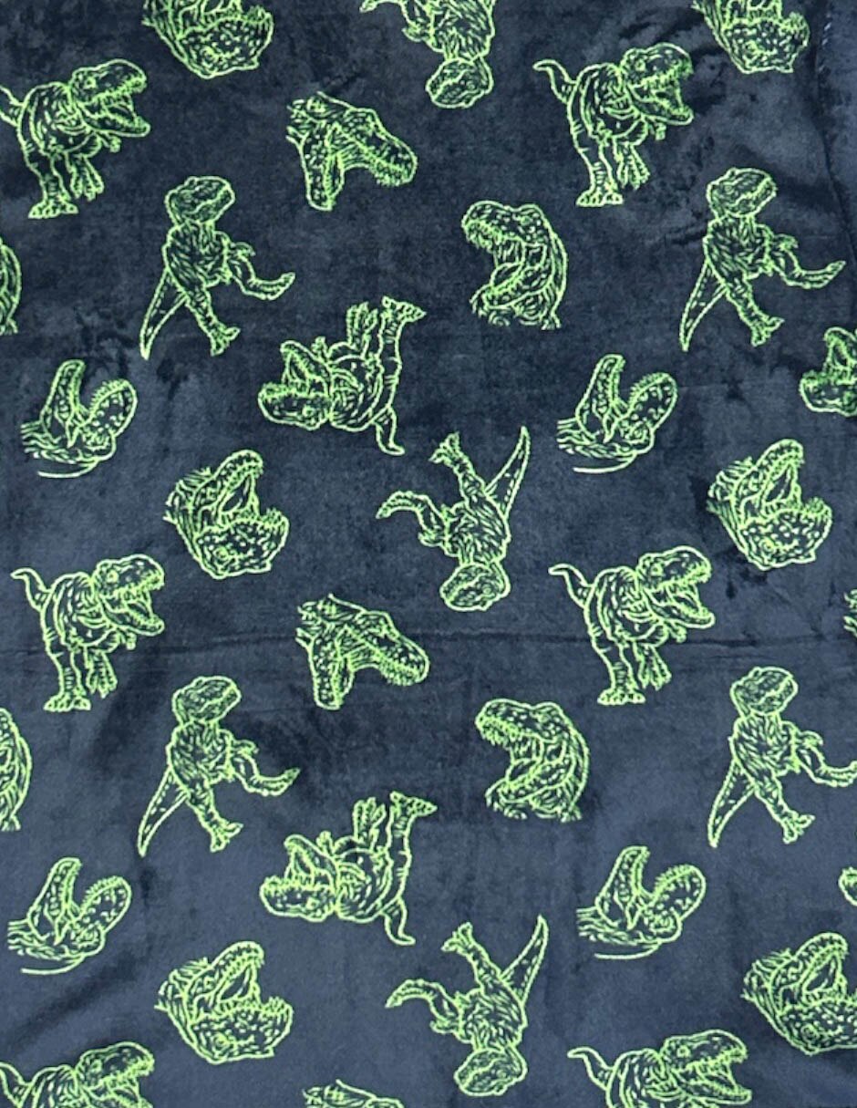 Sudadera jurassic world para infantil / niños grandes niño 3